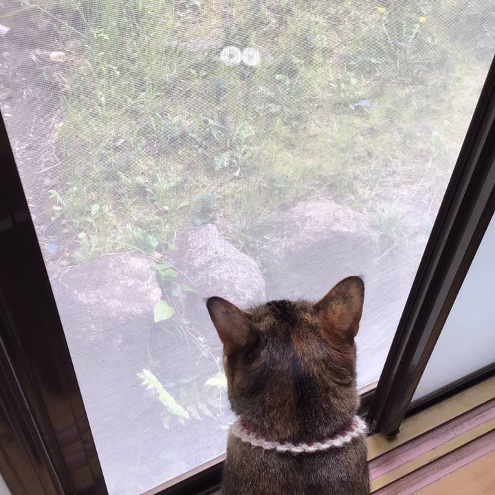 B26752c1 3008 41fb b7dc 01b2e9be75aa 1650160820115