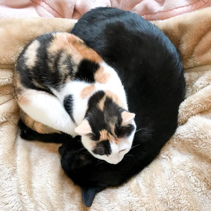 B267574e ae9d 4ed6 859b 50f7c14727a6 1523759067423