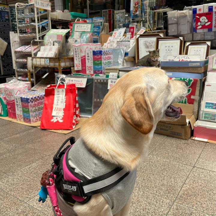 B2676e61 fe82 4029 a4b7 50c3a564fdaf 1623045467853