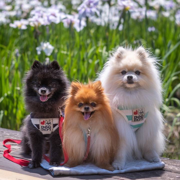 B26776f6 6161 40ce 86bf 02e4401b23aa 1592187145775