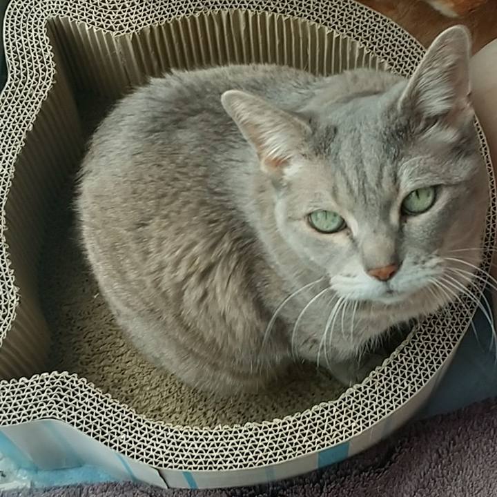 B2678a88 945e 4503 8598 32593c0f178d 1648697396630