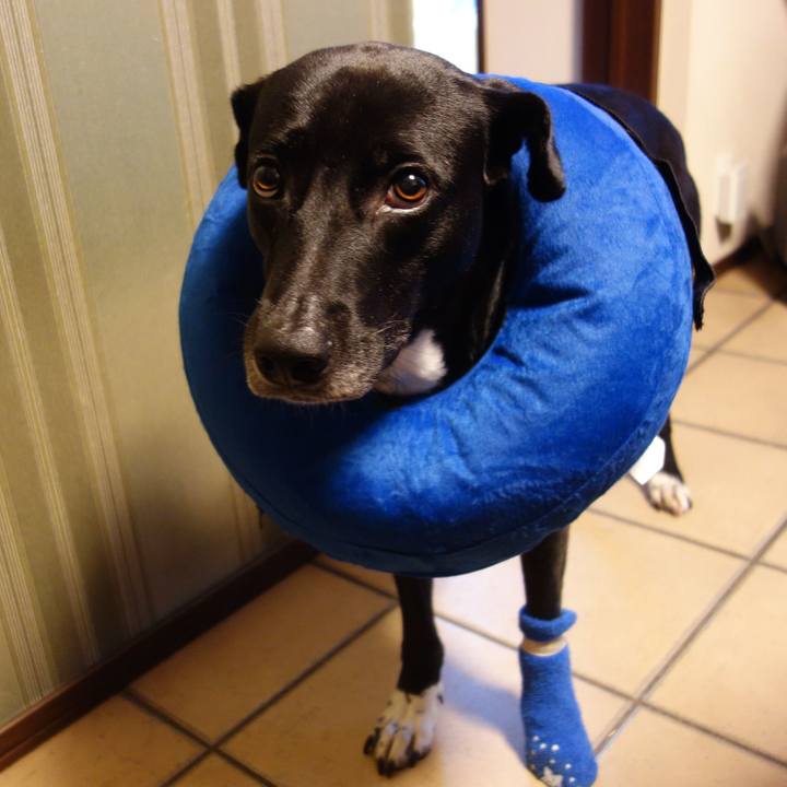 B267b920 e965 4b9f a673 194ae9061569 1624144520045