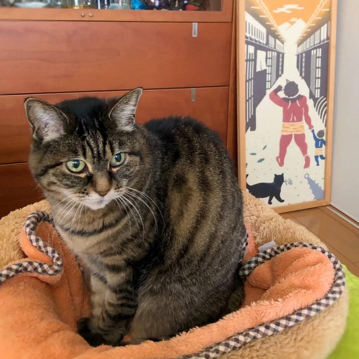 B26884d4 709b 4766 b273 104c9fd25a59 1769944613781