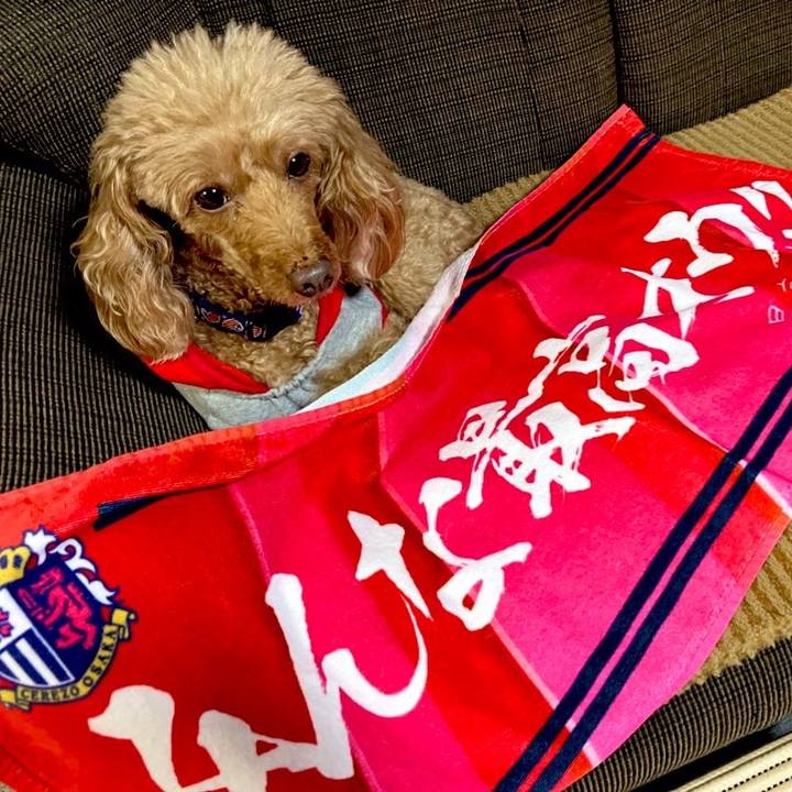 B268a2d1 692b 4d95 a103 ad2d328d76ee 1666340824529