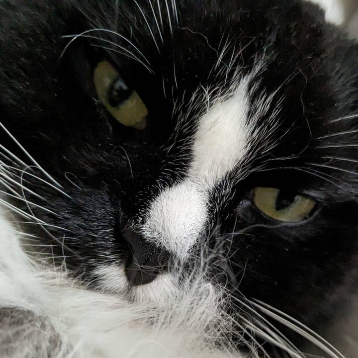 B268aa7d 0679 4650 b4ab 993132cf1f58 1694866188409