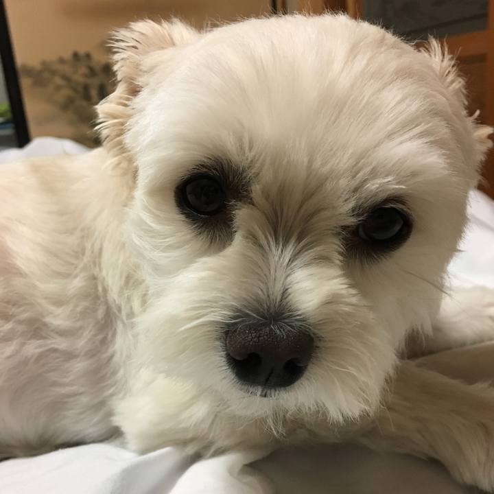 B268e530 0886 40ac 8b77 73284ffc964f 1527423021957