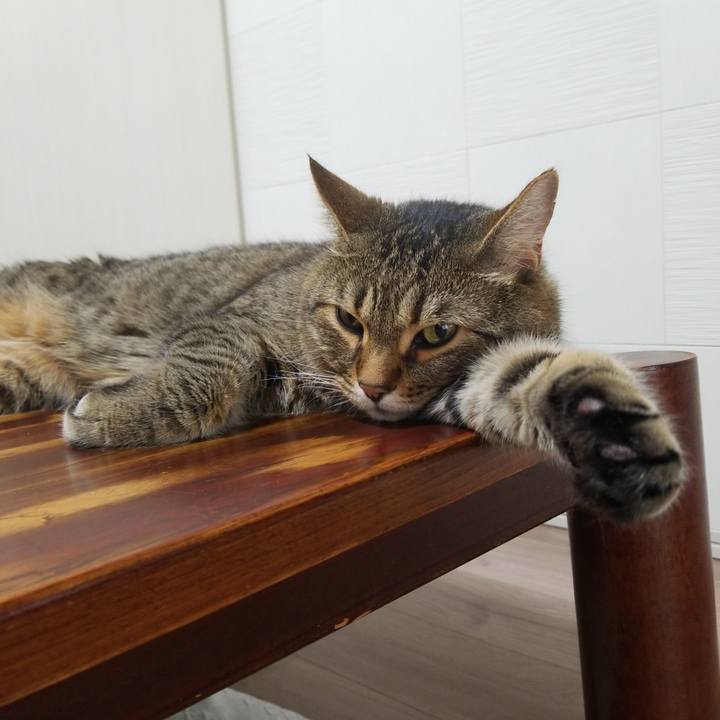 B268f4dd d4bf 4b62 9696 109ea50bf994 1559769701967