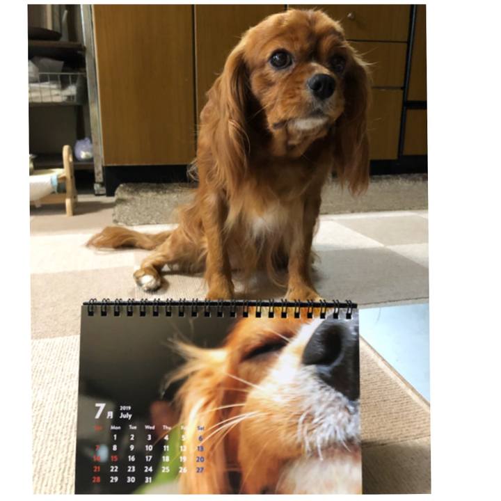 B268f6f0 abe4 4aee b4c8 5613867ab7a3 1561931172439