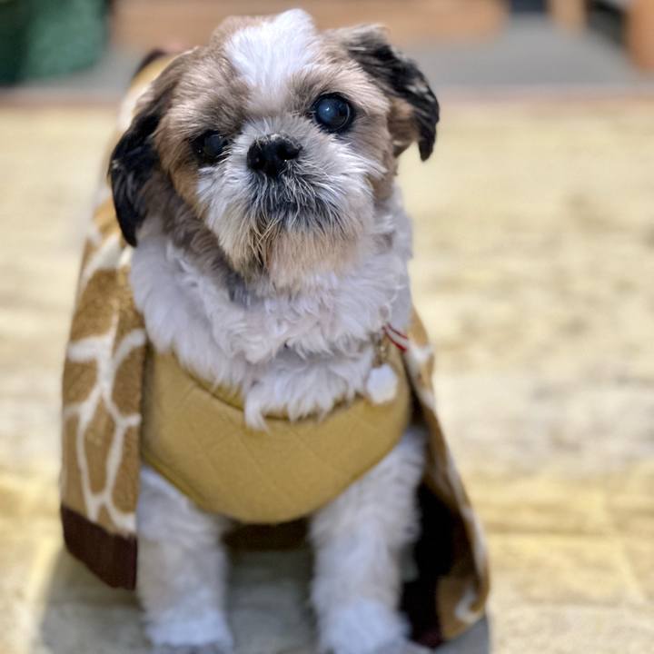 B268fe30 85e6 406c 83c2 90a78e54c28f 1697294784349