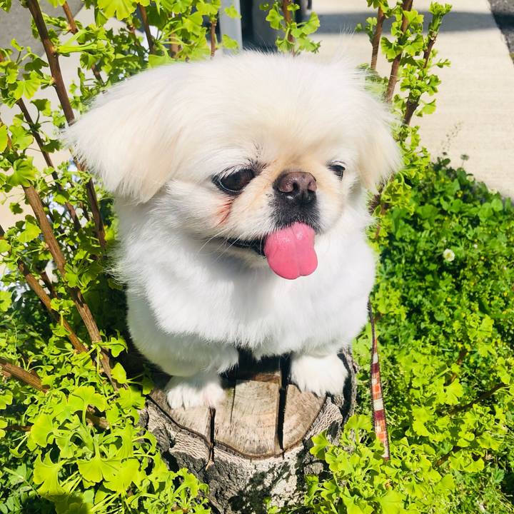 B2692f2a e152 4e57 827e ef28f152455d 1618405713865