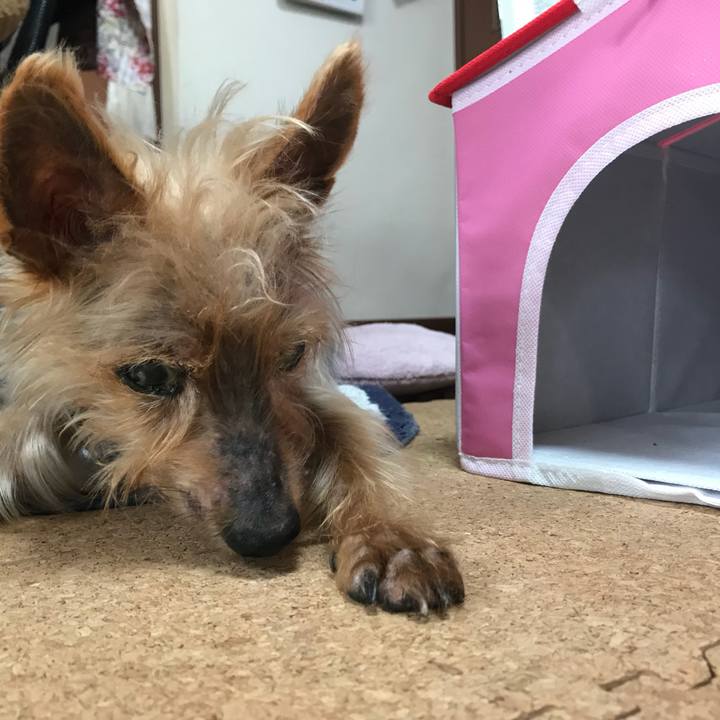 B2694bca 96bd 4f8a a64f 77a2bdca0e2e 1525329816116