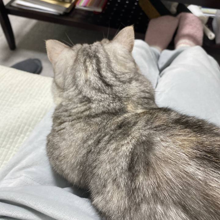 B269eaee fa75 4b62 9a36 eb8c62be5b3d 1765112768394