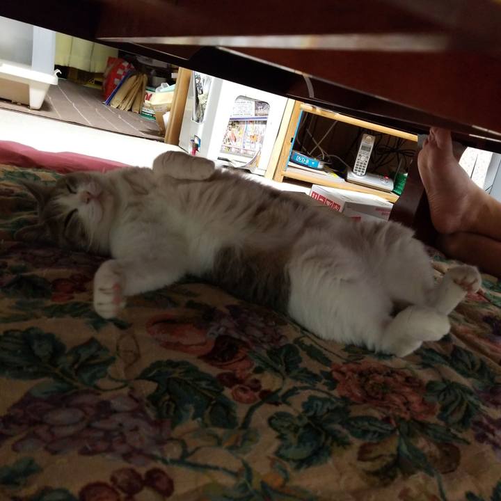 B269fd95 348d 4b8e aa6a 18688141245e 1573559633793