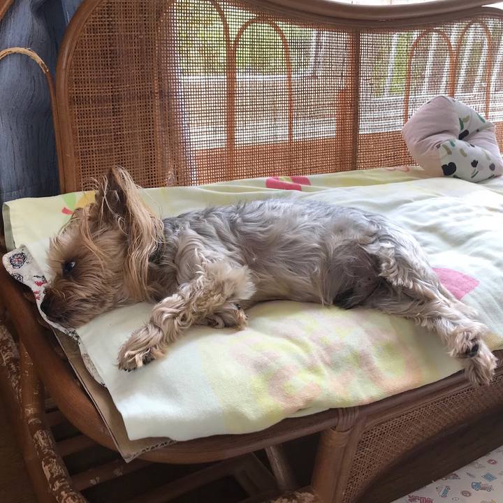 B26a3bd2 e72d 424a 9258 7915269dd1fe 1563525396163