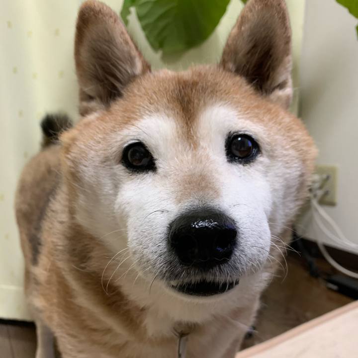 B26a7e49 ee17 4c52 9b75 3d646b219631 1583492188979