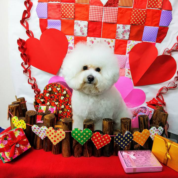 B26a8d6e 5f8a 4518 842d b4d645b19131 1549783817914