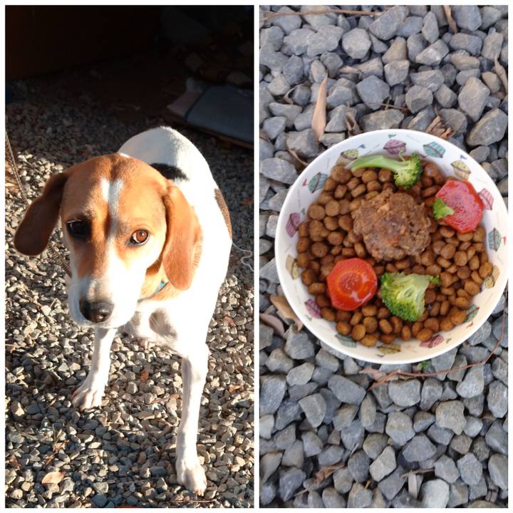 B26a9e17 204b 4bc6 b1ea 9f76d53ac37a 1606547454369