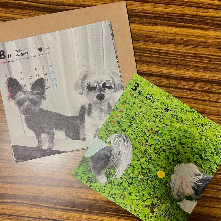 B26abe1e 8c9a 4bf7 9888 41849d61670f 1765443809138