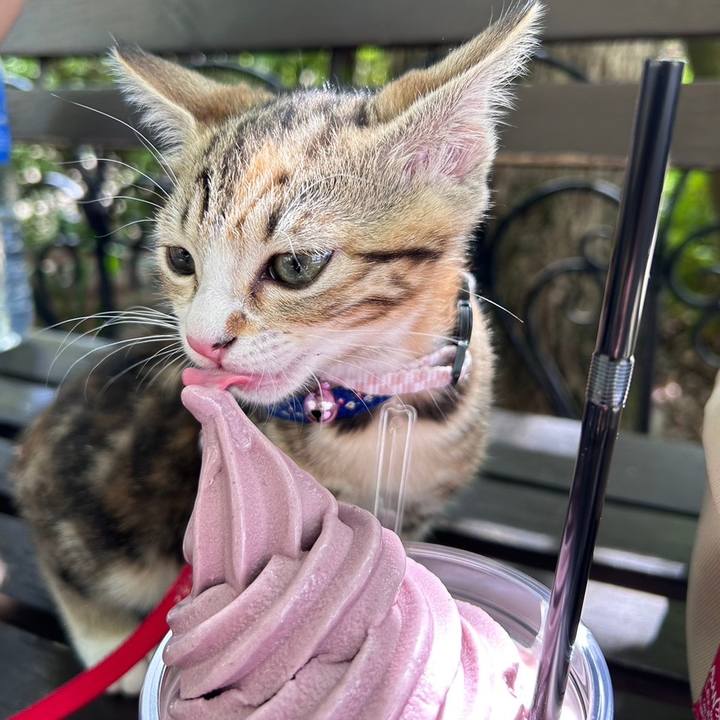 B26af49e 725a 4f35 9e18 e4ec69471f9e 1694660079496