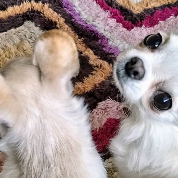 B26afcd9 3653 4a9e 8acc fd6fd7647862 1756118726086