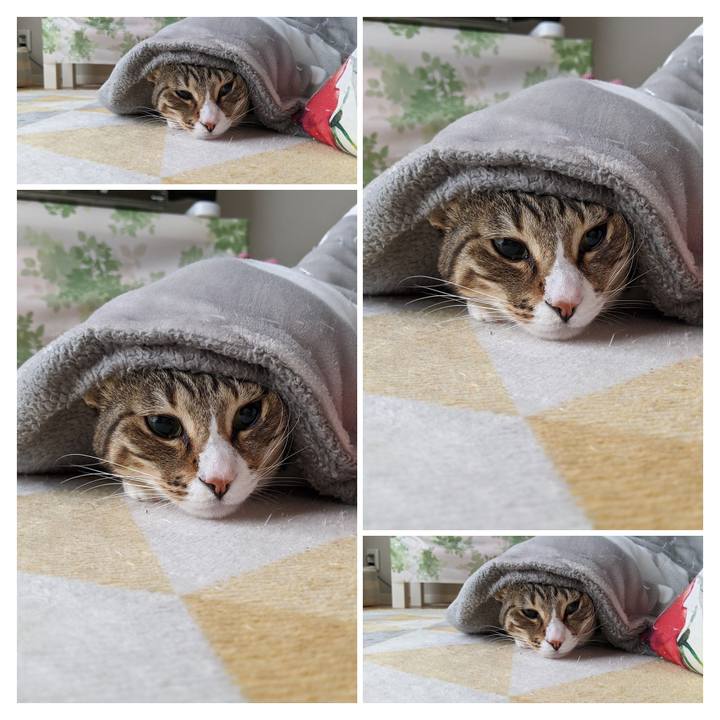 B26b1b0d 76ac 482a b8e8 d454a20310ef 1613001150677