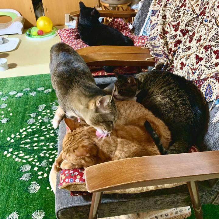 B26b2bbf 2d04 4cbd 81bf 9b4ceb675837 1629628289218