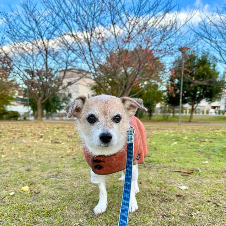 B26b2eb2 749e 45e7 96d3 97ff46cc680b 1701302551181