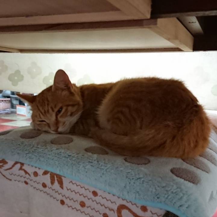 B26b39bd dac6 4577 a1b5 90dae3c10ec9 1561844211479