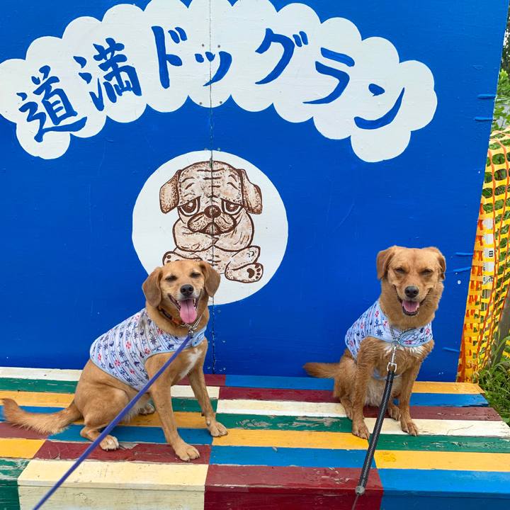 B26bac66 504b 496e 9add 5fa40a64996b 1566121153962