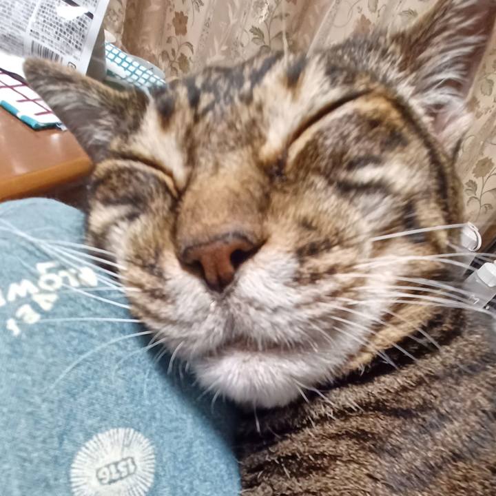 B26bdac3 3b77 451e 9404 a93ba7d1719b 1724327934234