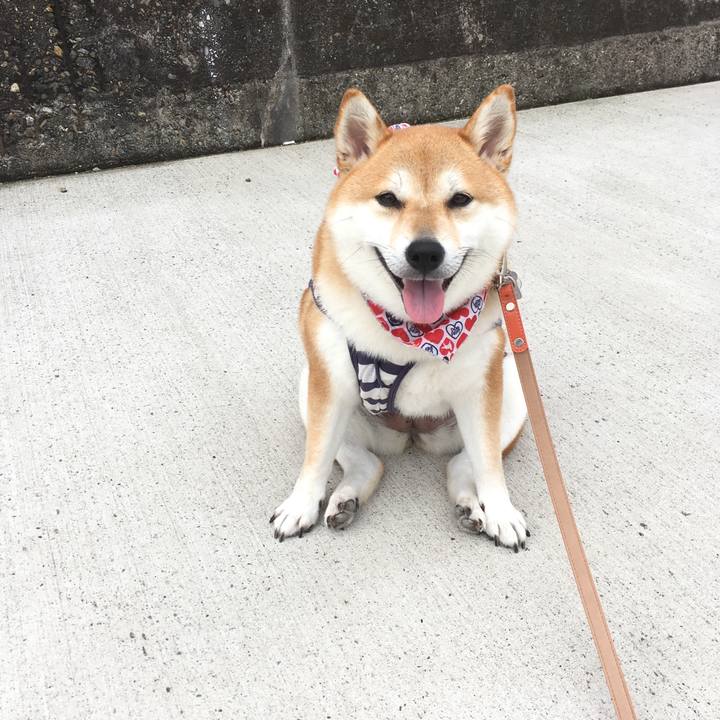 B26c1715 8942 4804 953f 93db46d59c01 1534033925949