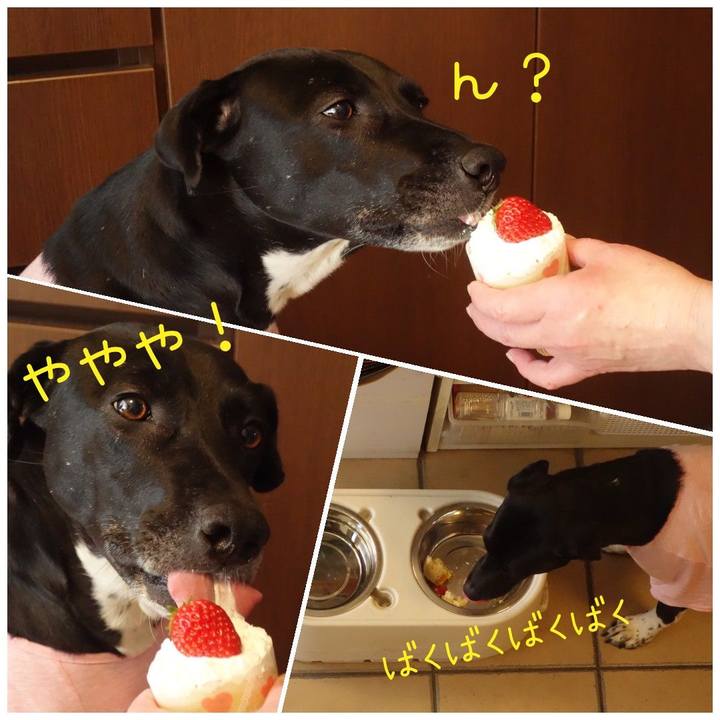 B26c1c10 2b0f 4a1d a84f 23c7e786a011 1615439689657