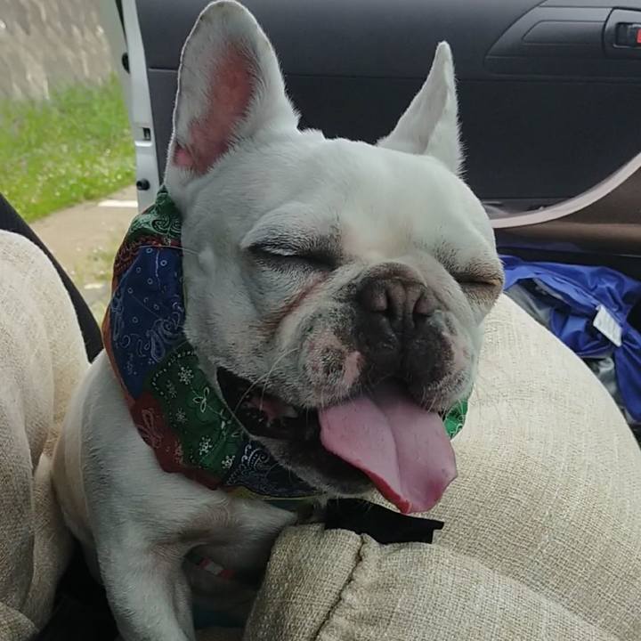 B26c4287 104a 4791 8202 85688a772845 1653008807958