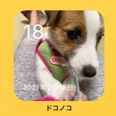 B26c51e6 7c49 48a6 8ce8 015184da0946 1645147313641