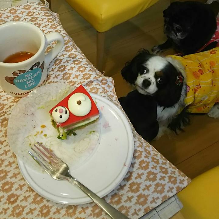 B26ccb62 026f 4b4f 8618 5d85c8f4813b 1548935903053