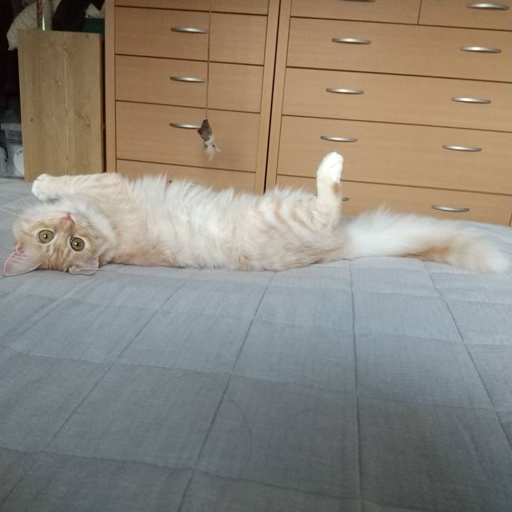 B26d03d6 f016 425f 8905 1f1f96bfe843 1619912350392