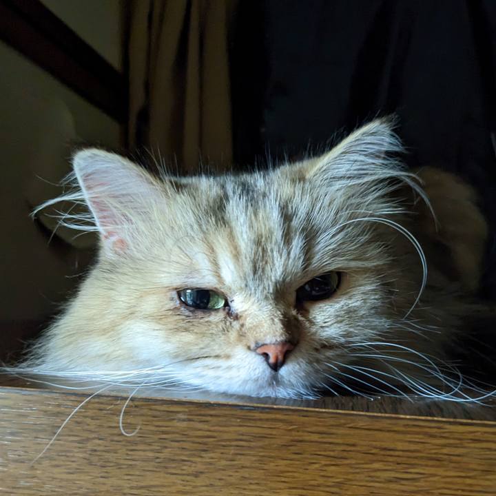 B26de2a8 775b 4b8a ac6c f9d7e33e48f4 1693404779329