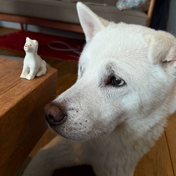 B26dee0d f2a6 4a38 9714 3fbf12d58f75 1770940088679