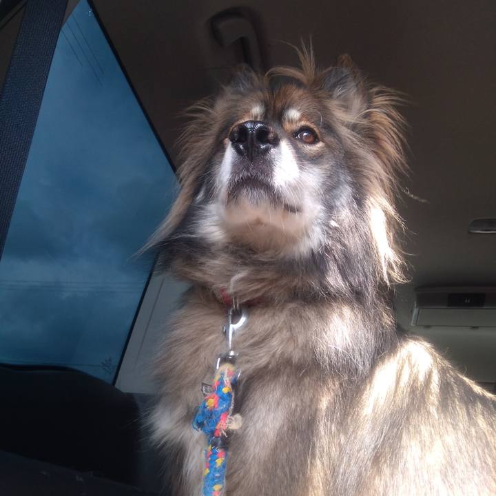 B26e0d53 2cca 46d0 84af fc2165c5d286 1636877070990