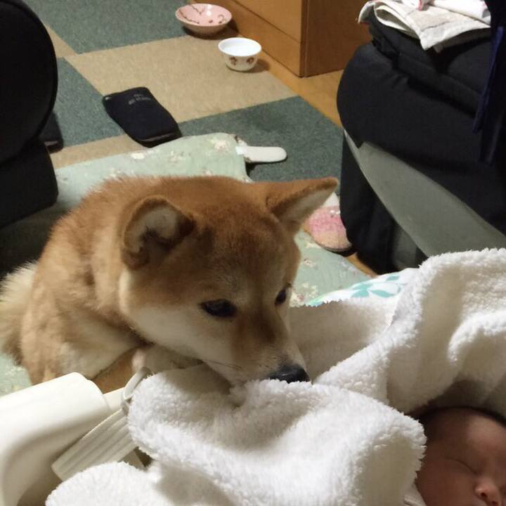 B26e4313 6b28 4a9c 9604 e3a47c136dce 1528287175557