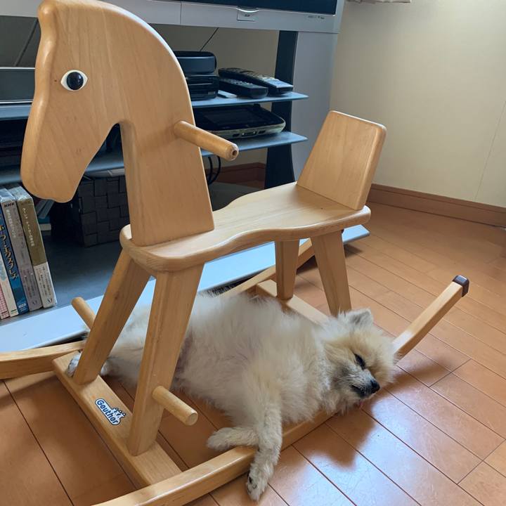 B26e4f59 60d6 486a b510 f59e6113dae2 1688519964447