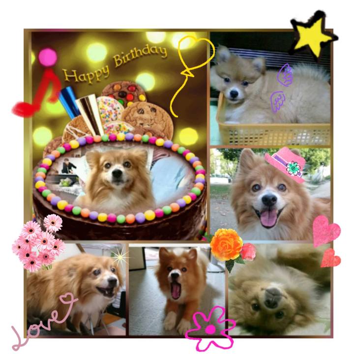 B26ecd95 6ded 46a0 91c0 7d6cf8229ea8 1527020764887