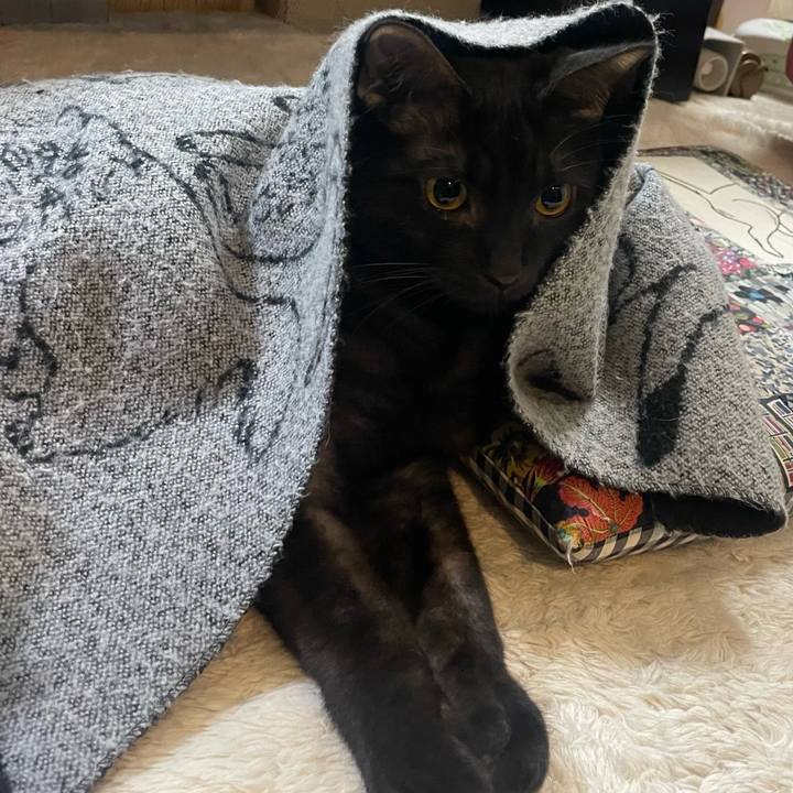 B26ee3db 22d5 448a 997c 048b545a0163 1766709094974