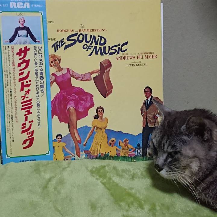 B26f4973 85cf 48e2 be3c 1720a53cd3ae 1596972367441