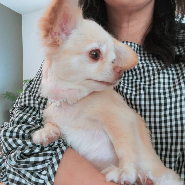 B26f550f 46ee 41c2 b5fc b4bb3d1739e5 1758167960440