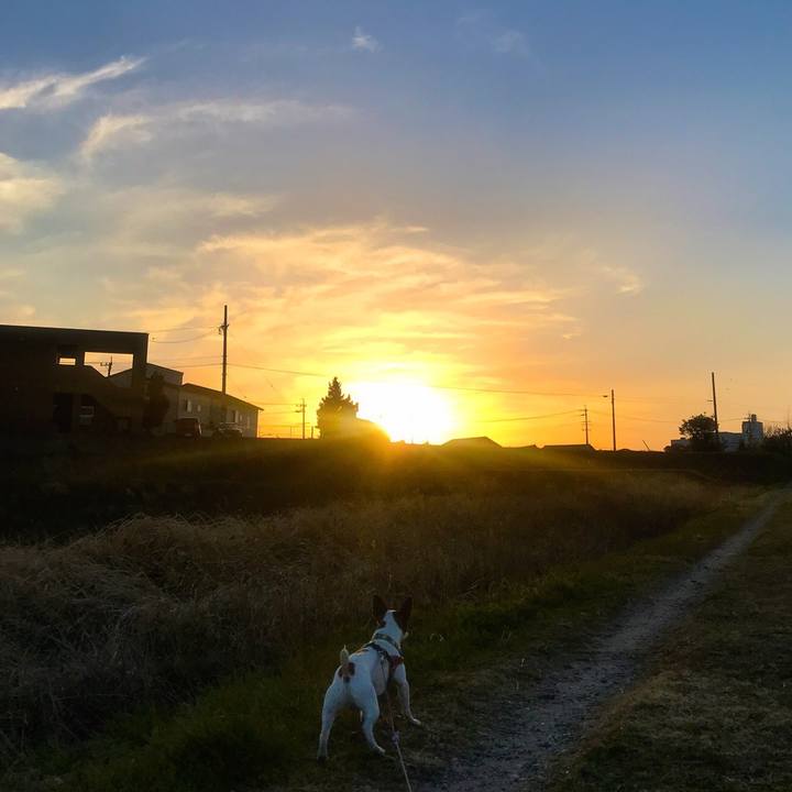 B26f85e6 7cd3 4158 b0b2 93703869a03a 1520849154187