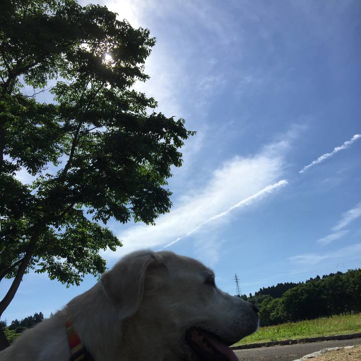 B27014a0 9b3f 4fe5 b586 0cbddbe40212 1529220386498