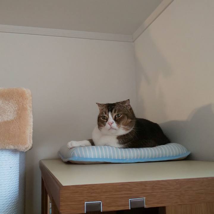 B27044a1 8399 49ec b5eb 22c044f23920 1571618057839