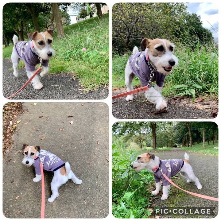 B2705f3a eaa6 4e7a 97c8 978d57fd9a6d 1602578556715