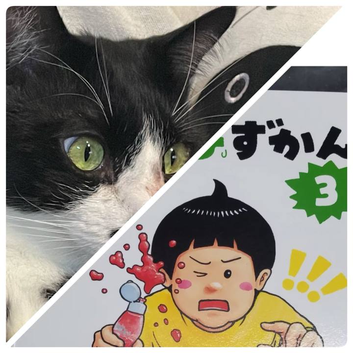 B27067ca 5b86 458c b4e5 28d4688b5c5d 1744781224570